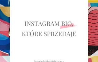 biogram instagram